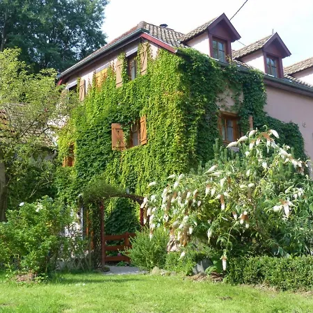 Domaine Saint Michel D'alsace Centre Zen Universel à Thérapies De Bien-être