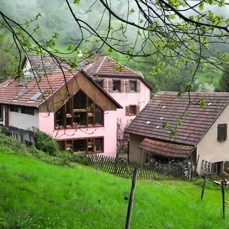 Casa de hóspedes Domaine Saint Michel D'alsace Centre Zen Universel à Thérapies De Bien-être 3*