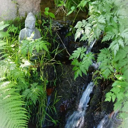 Domaine Saint Michel D'alsace Centre Zen Universel à Thérapies De Bien-être Hohwald