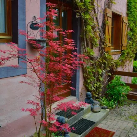 Domaine Saint Michel D'alsace Centre Zen Universel à Thérapies De Bien-être Casa de hóspedes Hohwald