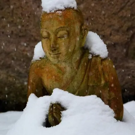 Domaine Saint Michel D'alsace Centre Zen Universel à Thérapies De Bien-être