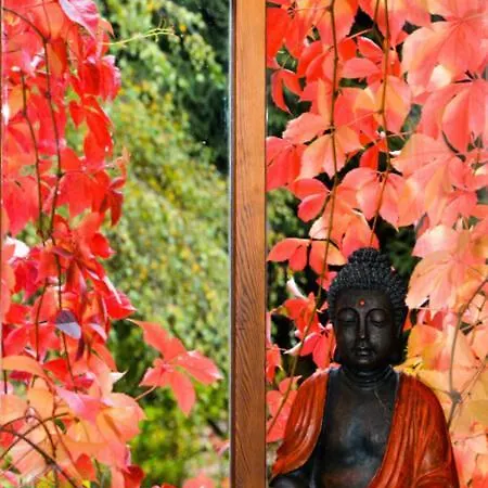 Domaine Saint Michel D'alsace Centre Zen Universel à Thérapies De Bien-être Maison d'hôtes *